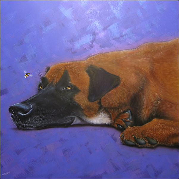The Dog & the Bee