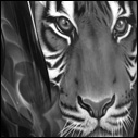 Tiger Tank